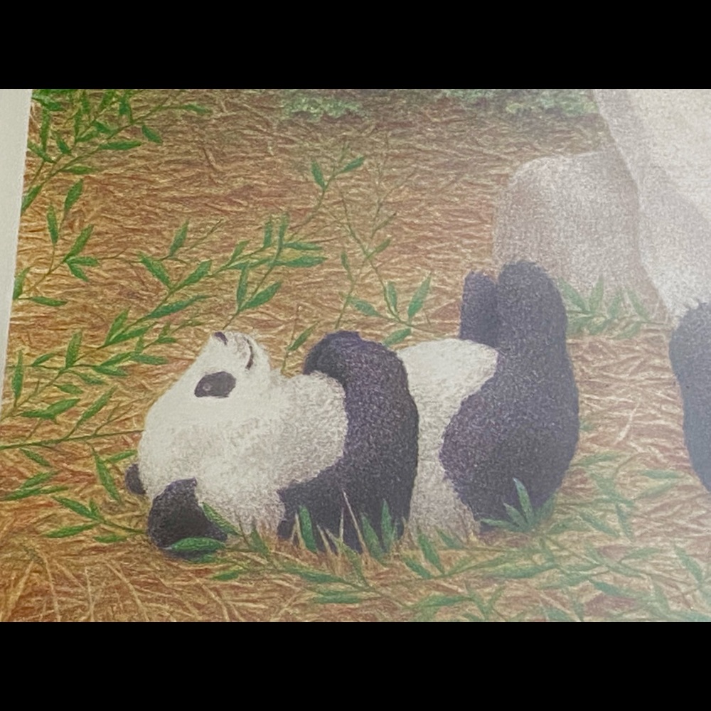 Panda drawing - signed artwork - Picture 4 of 4